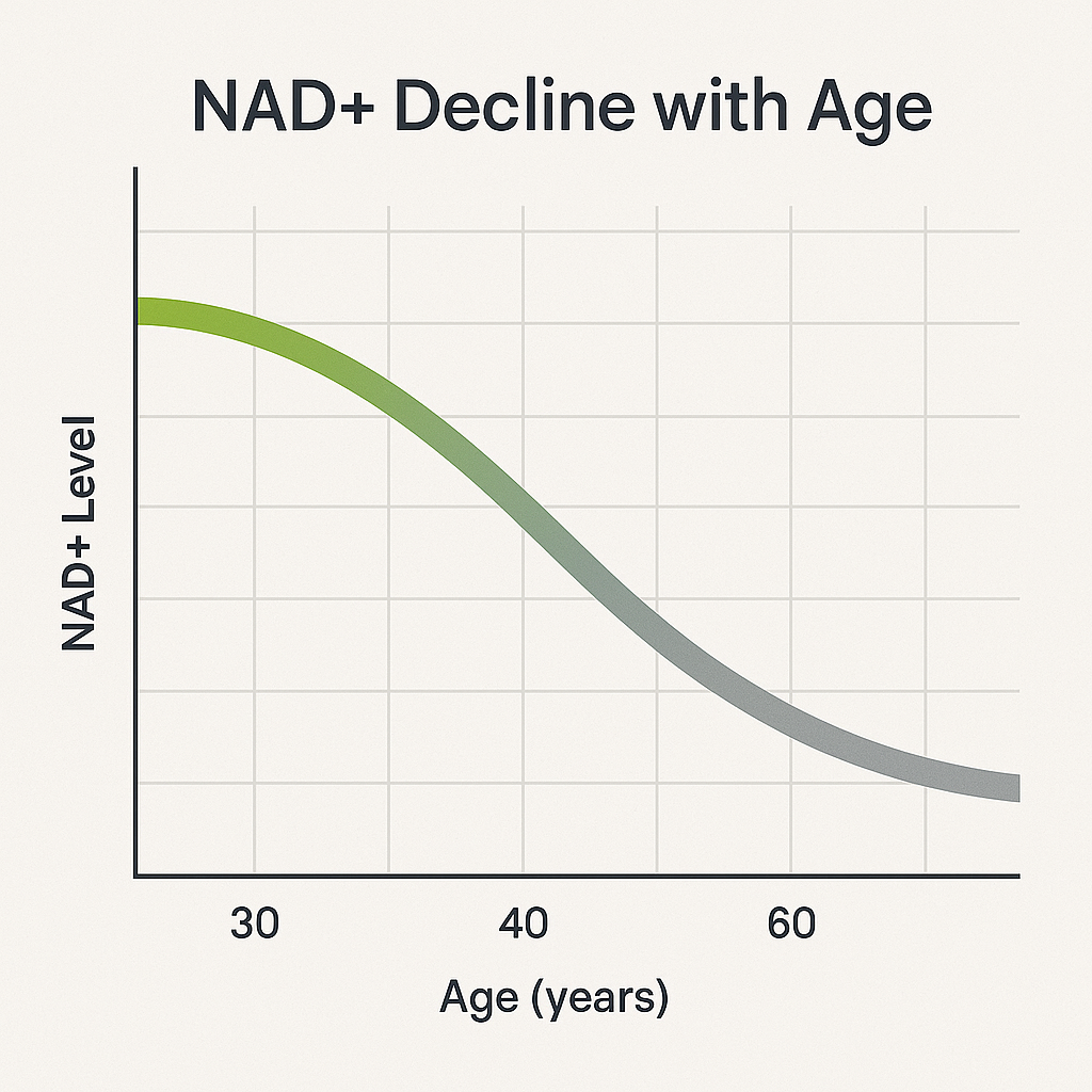NAD+ Cellular Energy Formula by Healora