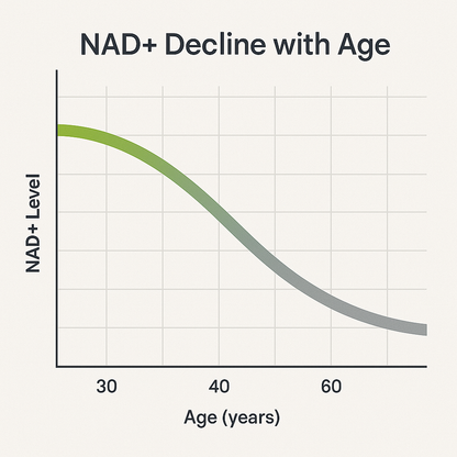 NAD+ Cellular Energy Formula by Healora